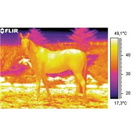 Câmera térmica FLIR E6-XT com WiFi e tecnologia MSX - ESPIAMOS®