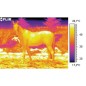 Caméra thermique FLIR E6-XT pour les inspections de sécurité et TSCM