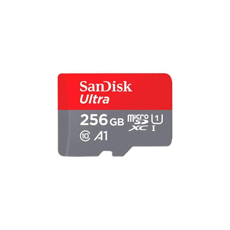 Carte mémoire Micro SD de 256 Go